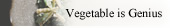 Vegetable is Genius